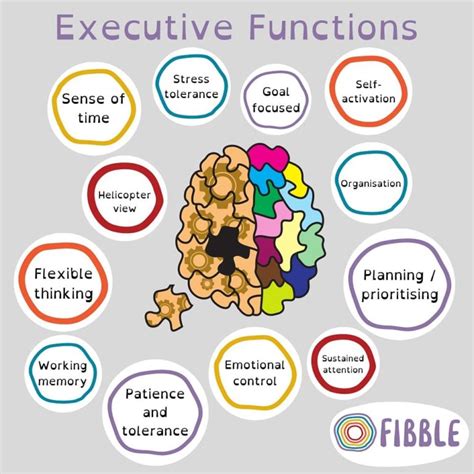 ALTERNATE FORMS OF THE EXECUTIVE FUNCTION .